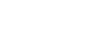 logo shopify secure